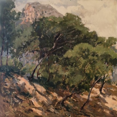 De Cabo, Pascual. Paraje...