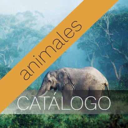 Catálogo animales (fotografía)